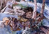 Study of the Rocks and Ferns, Crossmouth by John Ruskin